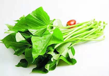 驚呆了!現在番薯葉被發現有驚人的秘密,因