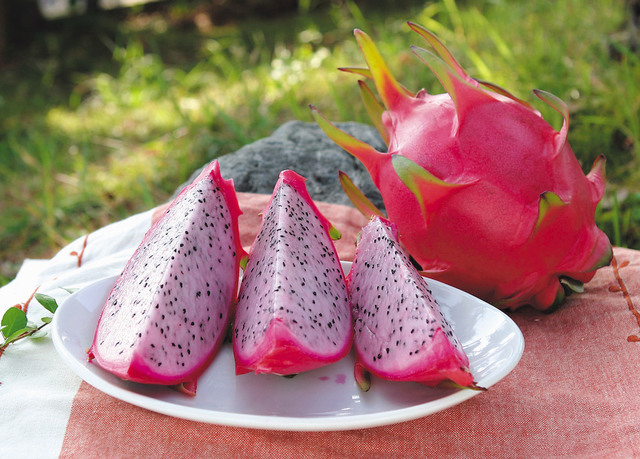 夏天就是要吃【水果之王－火龍果】〜所需的營養它通通幫你準備好了♪その3