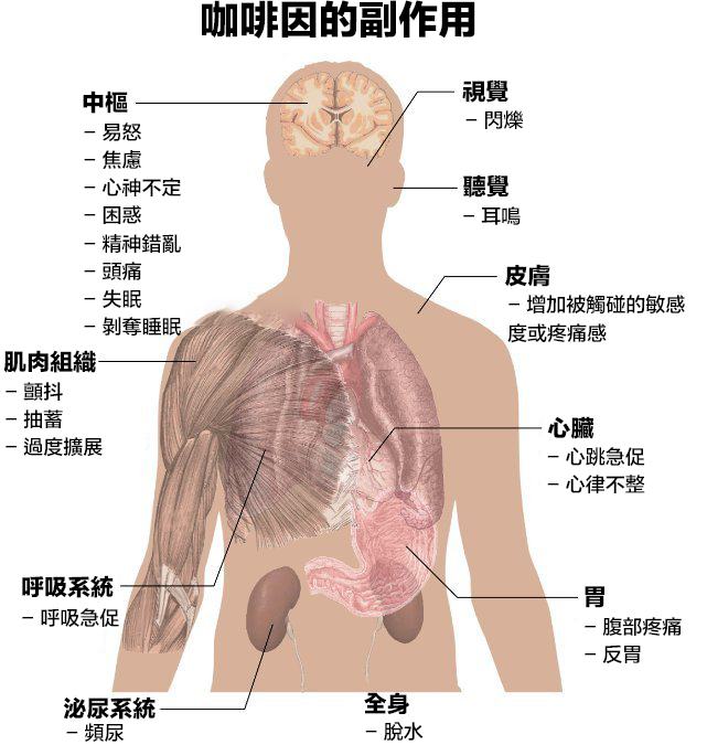 1a37555拷貝