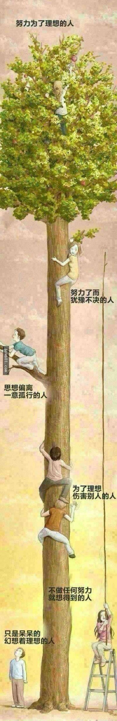 一棵樹上有六種人,你是哪一種?