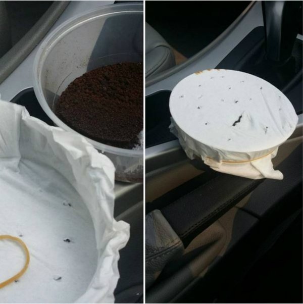 車內有異味?! 只要把這個放車上，一夜變新車 ! 比空氣清凈劑強100倍！趕快試試看！！