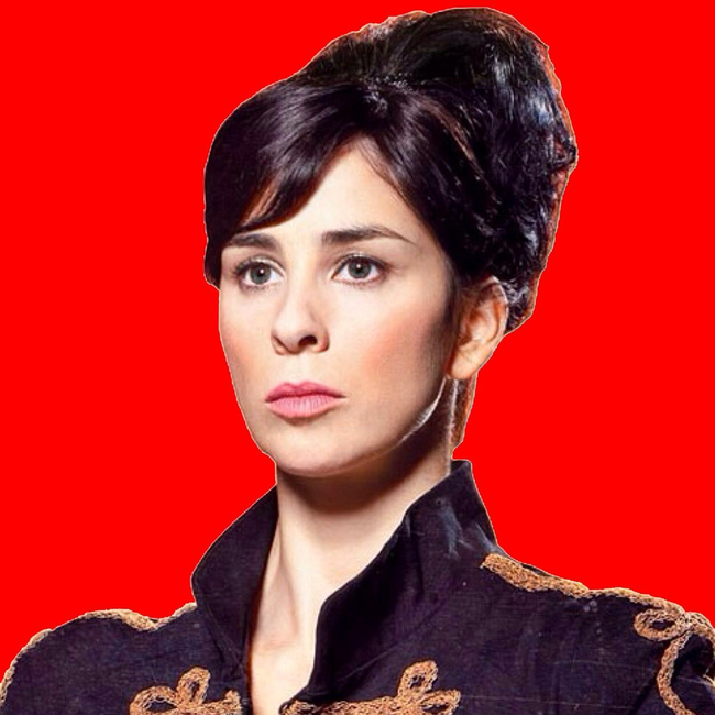 9.) Sarah Silverman