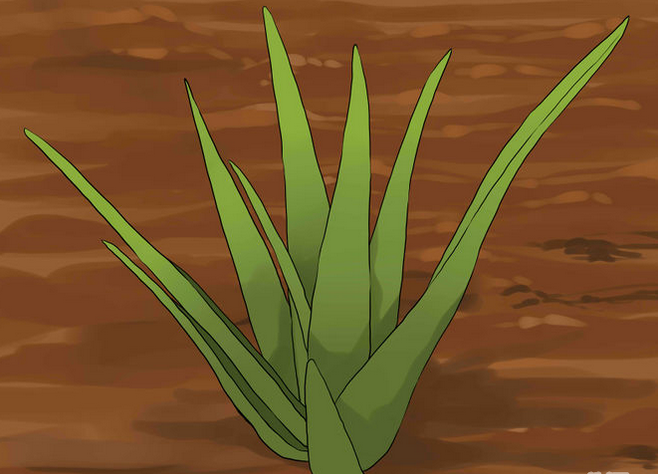 14721983595172.png