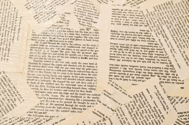 21. 我們的大腦每分鐘可以閱讀1,000個字。<BR><BR>