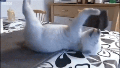 坐很久了嗎？快來伸展一下