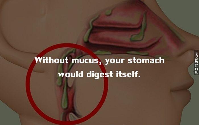 如果身體沒有分泌黏液的話，胃部會自行消化食物。<BR><BR>