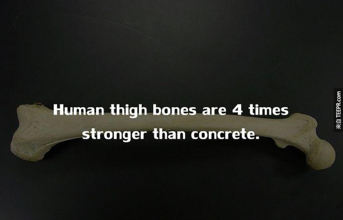 人類的大腿骨，比混凝土堅硬4倍。<BR><BR>
