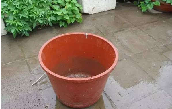 14732495355539.png