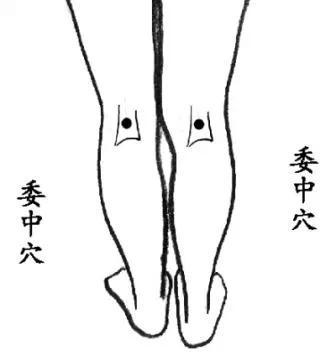 男女體內寒濕多都有啥表現，三伏天艾灸祛除體內寒濕正當時