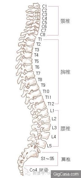 脊椎不好百病生，終於找到矯正脊椎的好方法！ (歡迎分享給常久坐的朋友！)