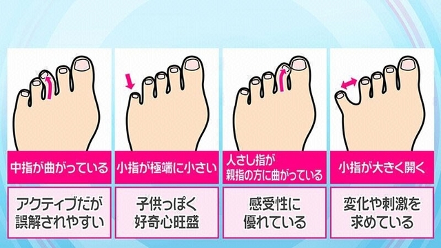 除了長度之外，這些特徵也可以看出性格！