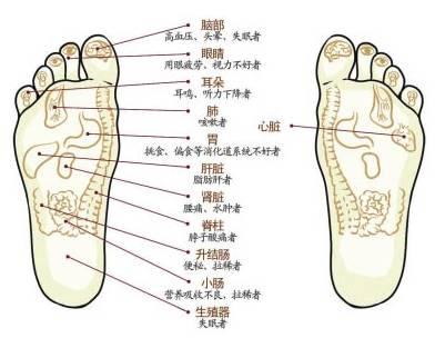 老中醫說：按摩這裡一分鐘，壽命增加一小時